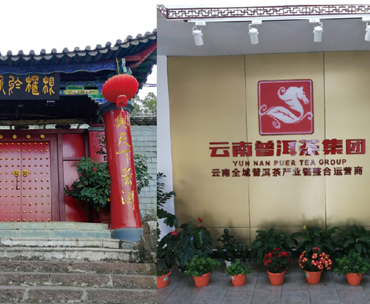 云南普洱茶集團(tuán)